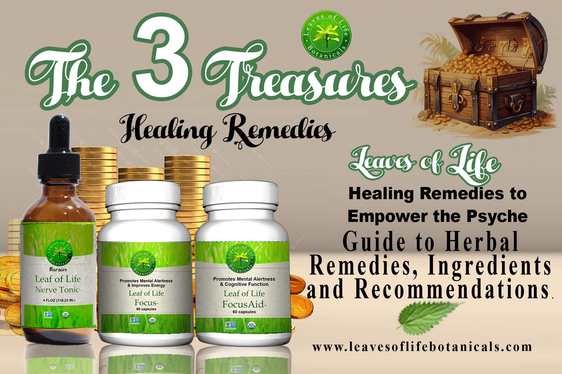 Leaf of Life Three Treasures: Nerve Tonic, Focus and FocusAid